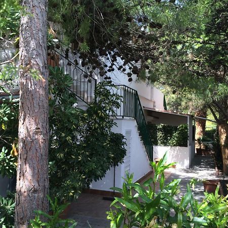 Villa Irene Вьесте Экстерьер фото